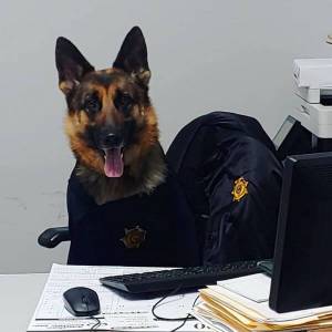 Elgin Police Department Town of Elgin, South Carolina