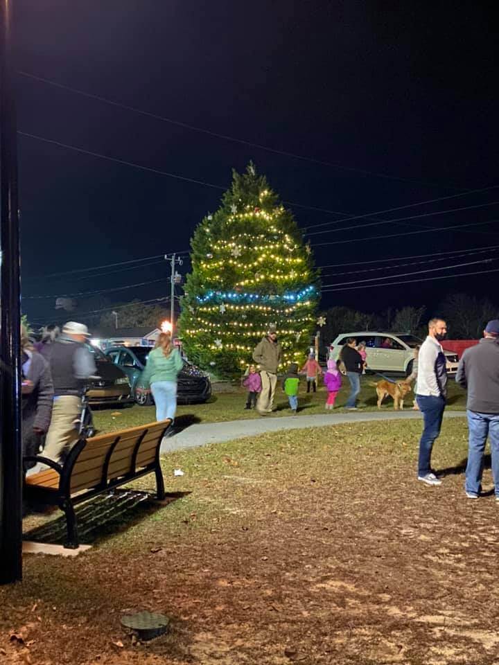catfish stomp 2020 , elgin tree lighting
